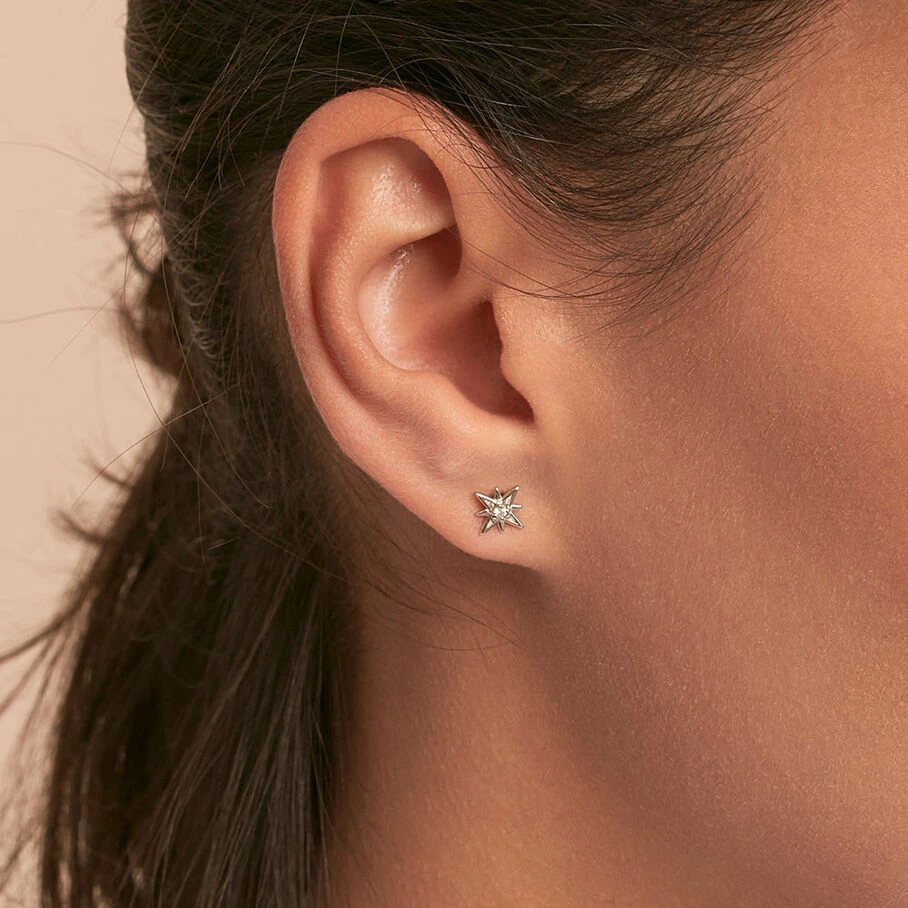 Boucles D'oreilles Puces OURSE - Cristal / Argenté 4 Boucles D'oreilles Puces OURSE - Cristal / Argenté – Image 2