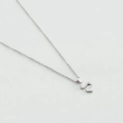 Collier Ras Du Cou SNAKY - Cristal / Argenté